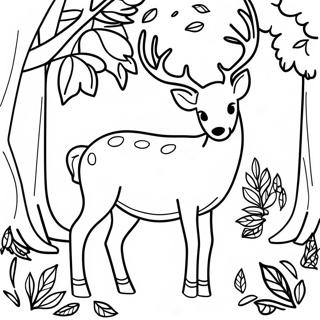 Khzn Khy Ptwn Myn Hrn Kh Rng Bhrny Wl Sfhh 131233 64021