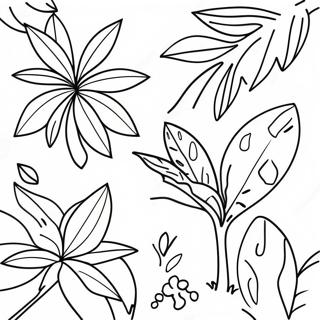 Rngyn Brsh Khy Jngl Khy Pwdwn Kh Rng Bhrny Wl Sfhh 139440-70567