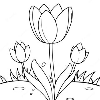 Pyry Khrttwn Ttwlp Rng Bhrny Wl Sfhh 33889-7405