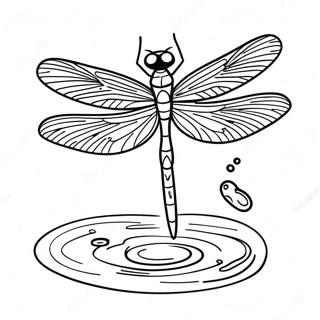 Shndr Ddrygn Flyy Pny Khy Wpr Rrt Hw Rng Bhrny Wl Sfhh 39732-8679