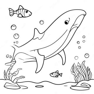 Dwstnh Hymr Hydd Shrkh Rng Bhrny Wl Sfhh 5100 1243