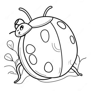 Pyry Lyddy Bg Bhnwr Rng Bhrny Wl Sfhh 56742 12424