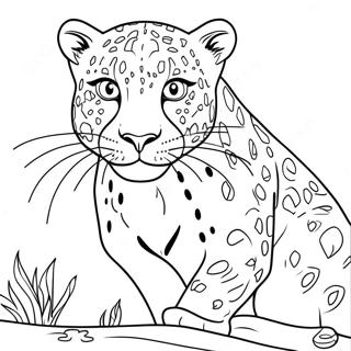 Dhby Dr Chyt Rng Bhrny Wl Sfhh 71671-15700