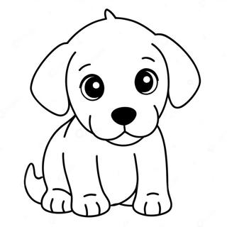 Pyr Lybrddwr Khty Kh Rng Bhrny Wl Sfhh 81983 23581