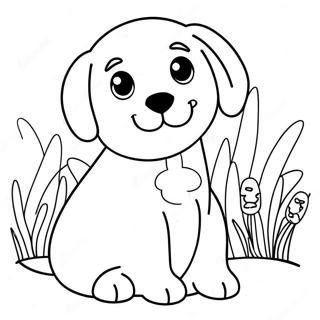 Pyr Lybrddwr Khty Kh Rng Bhrny Wl Sfhh 81983 23584