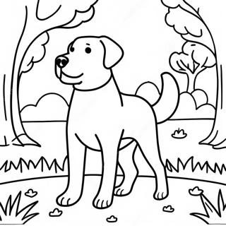 Swrj Wly Prkh Myn Lybrddwr Rng Bhrny Wl Sfhh 81984 23585