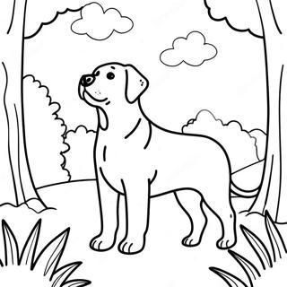 Swrj Wly Prkh Myn Lybrddwr Rng Bhrny Wl Sfhh 81984 23586