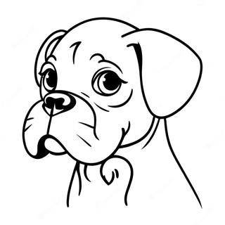 Pyr Bwsr Kht Rng Bhrny Wl Sfhh 89705-29884